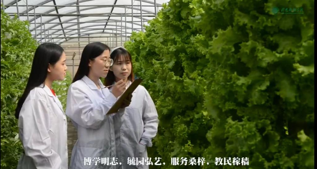 365英国上市公司招生宣传短片