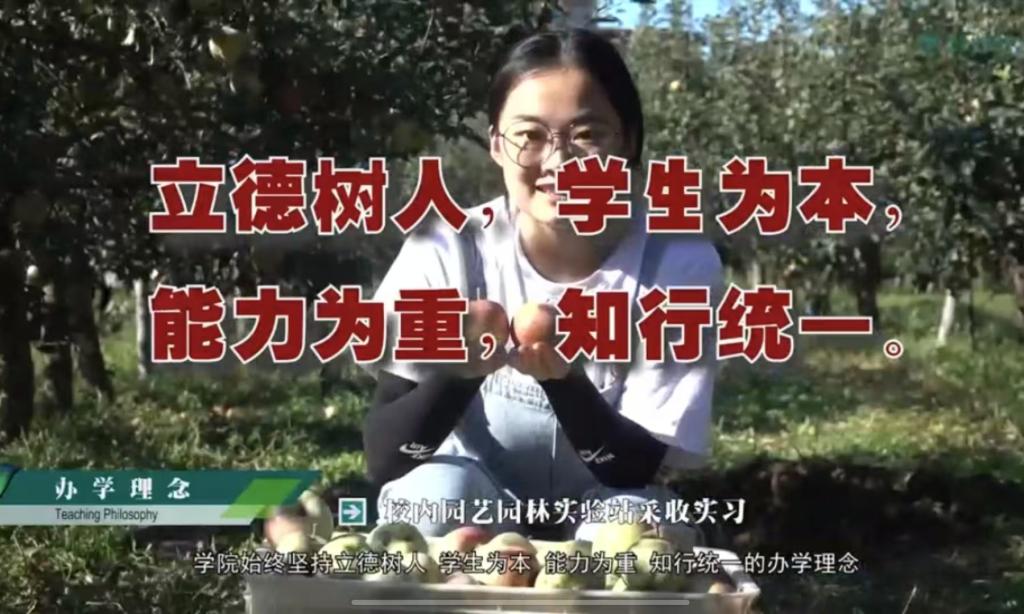 365英国上市公司宣传片
